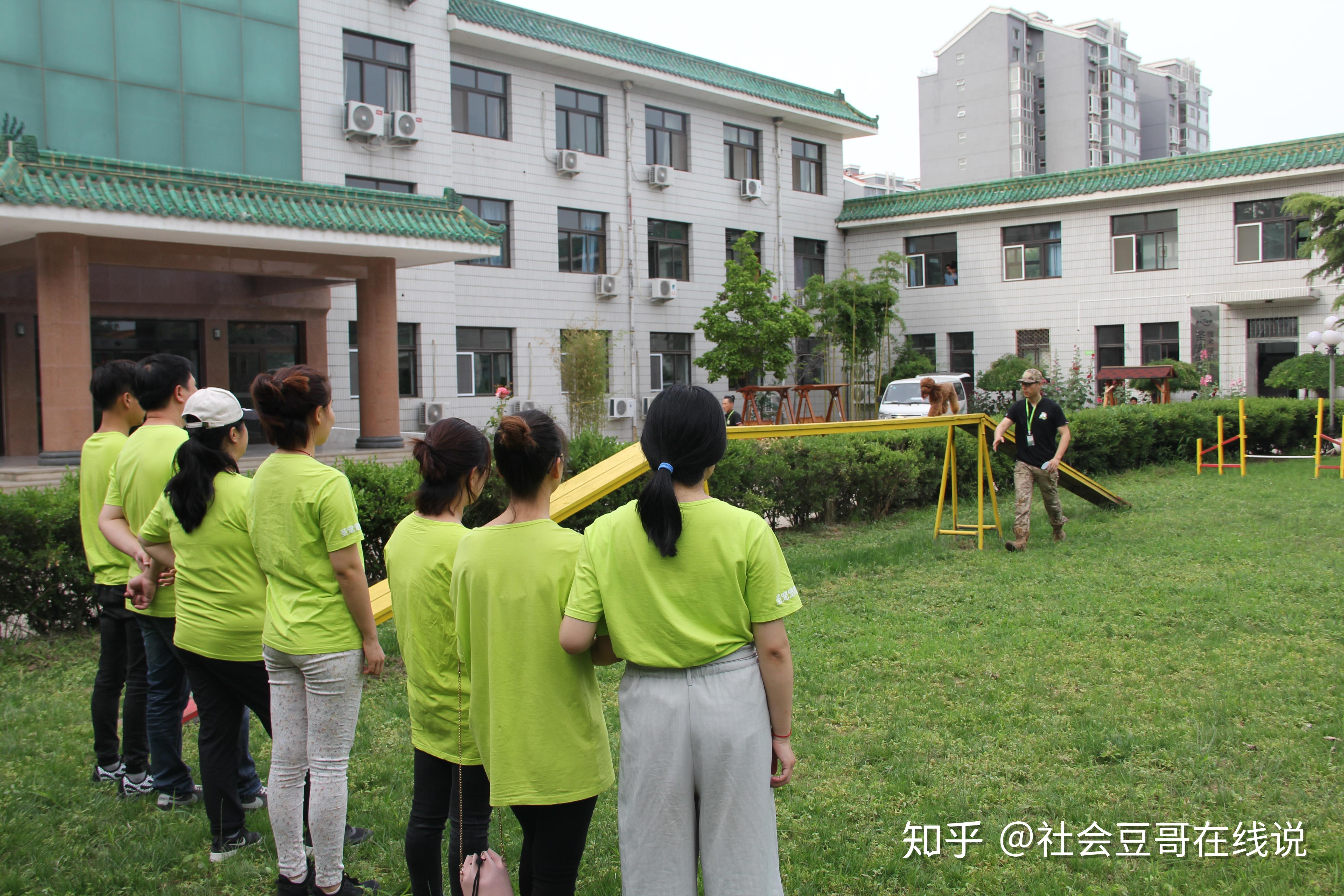 怎么选择一所正规的训犬师培训学校 - 知乎