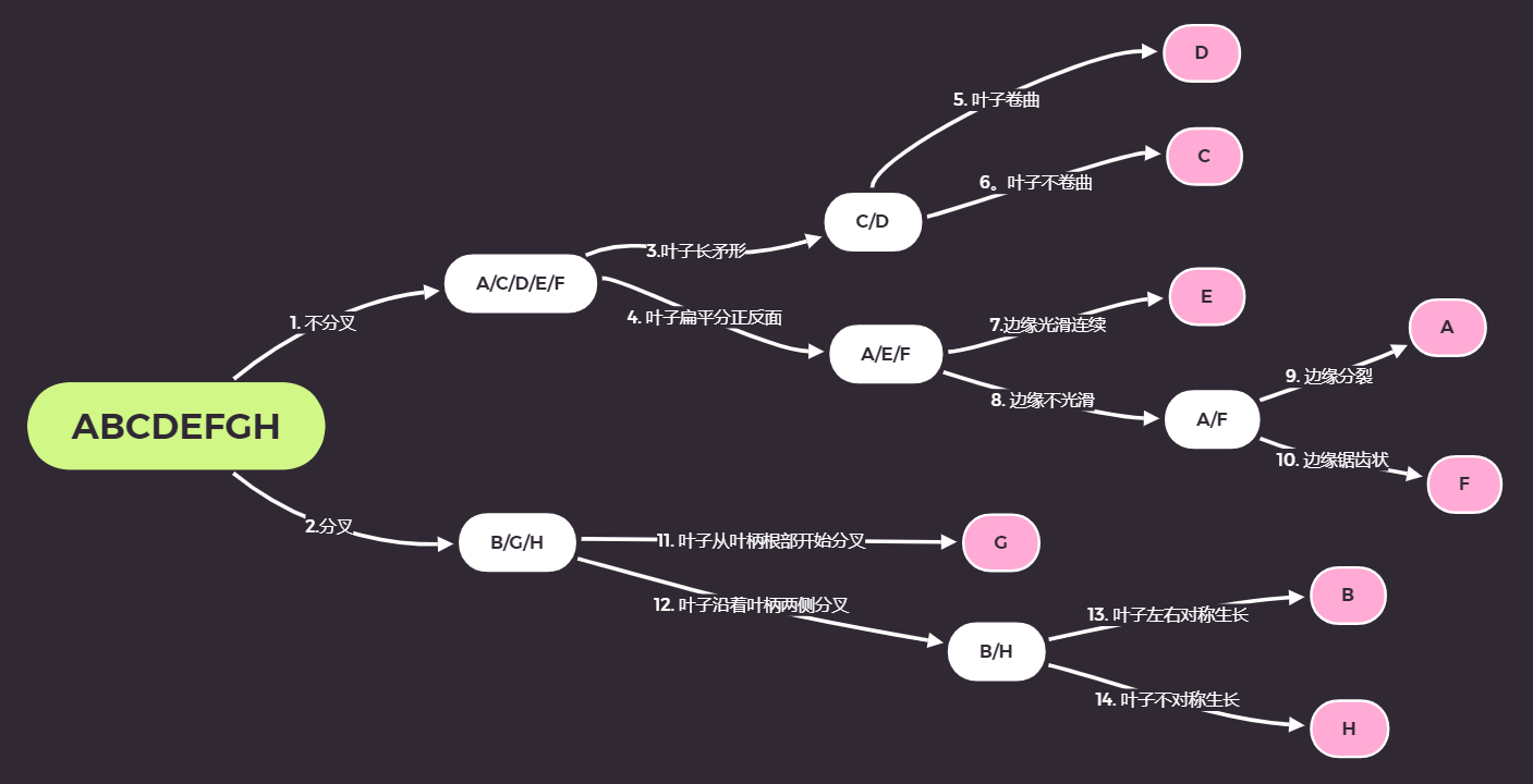 生物类型题讲解: 手把手带你制作dichotomous key(下) - 知乎