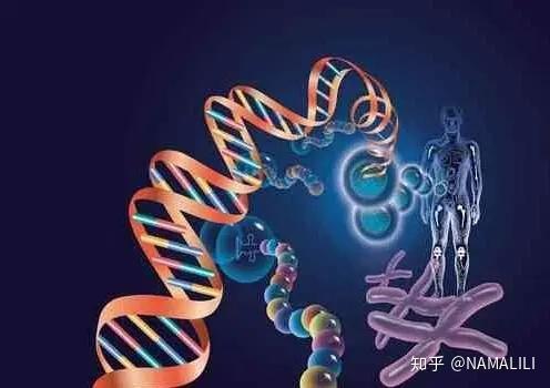 干細胞最全的科普(圖5)