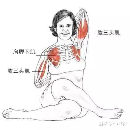 瑜伽体式牛面式详解开肩瘦背
