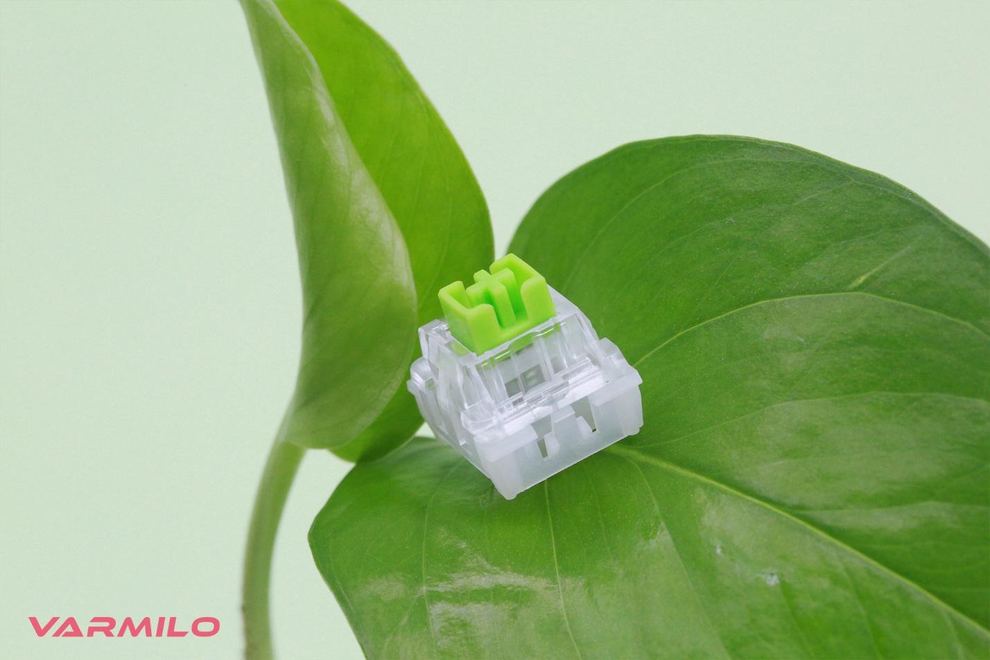 varmilo ivy switch