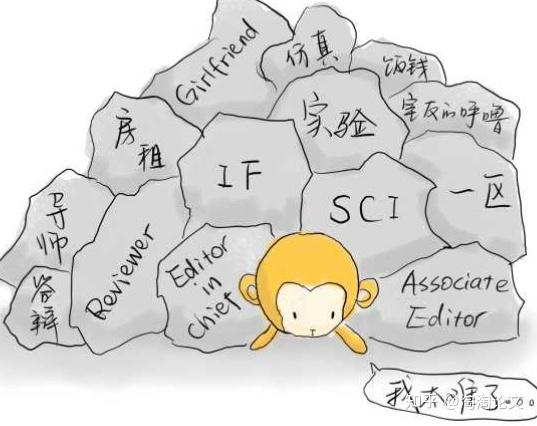 sci文章勘误声明公布在哪里?