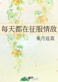 图标