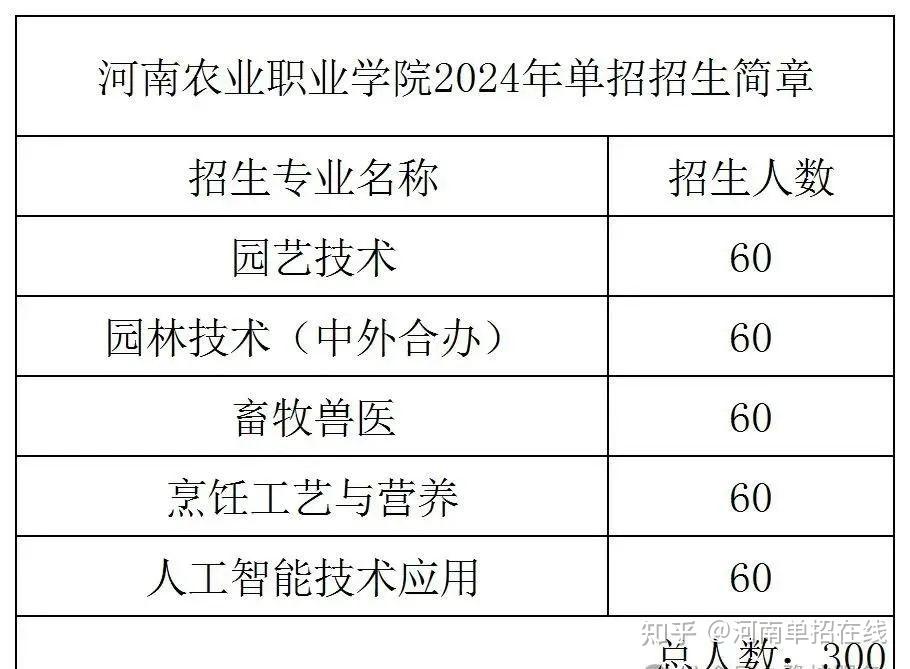 2024年河南省单招各学校招生计划汇总
