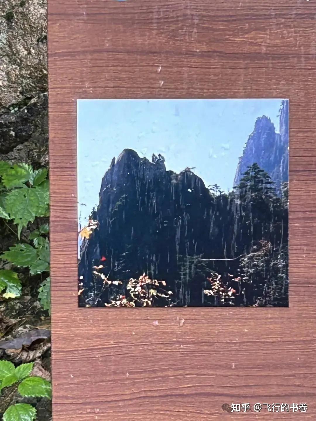黄山雨中独行记(一):从云谷寺徒步到白鹅岭,一路有啥美景? - 知乎