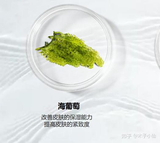 aoeo 海葡萄面膜好用吗? - 知乎