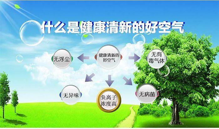 空气质量与人体健康