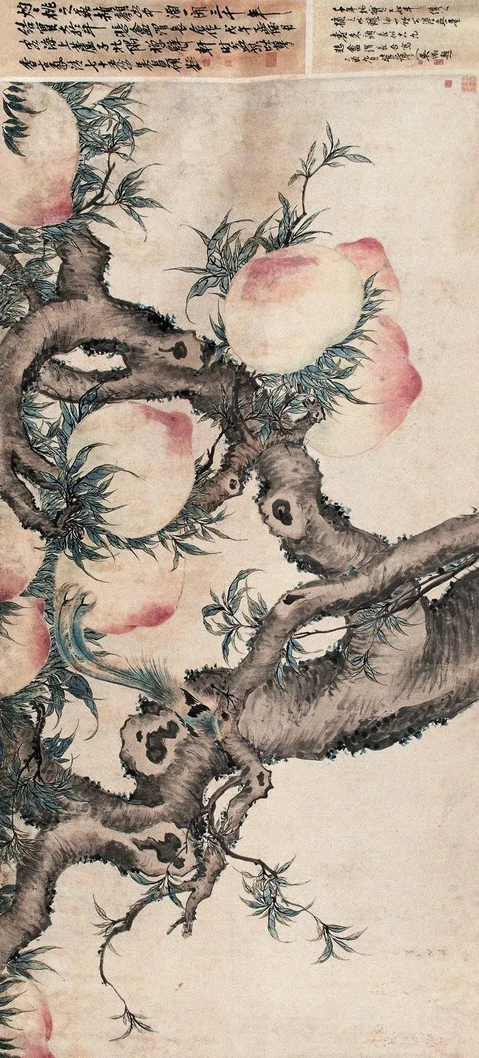 【中华文化】历代名家画桃 - 知乎