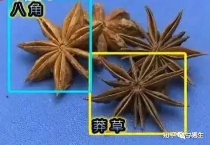 该如何鉴别真假八角?