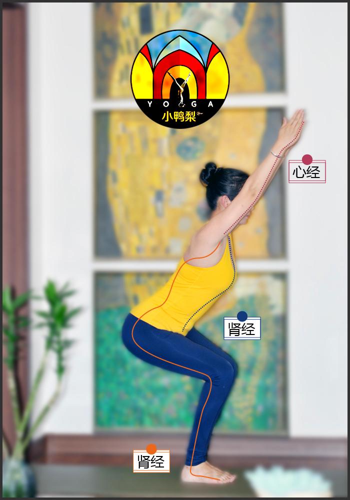揭秘人体经络瑜伽叁闪电式