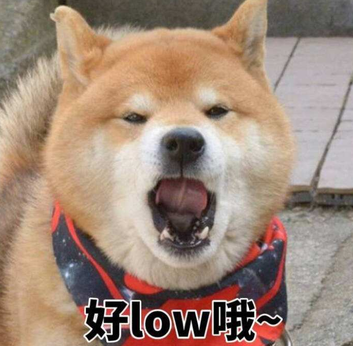 项目经理不要只知道pmp太low了