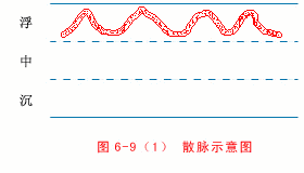 图解脉象｜五步思辨切脉法，及28脉脉象脉歌动态图解 - 知乎
