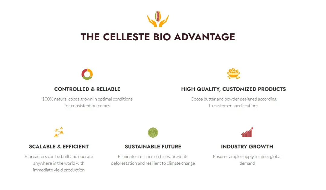 Celleste Program Bio 巧克力产业新解法?Celleste Bio用细胞培养技术解锁可可未来 - 知乎