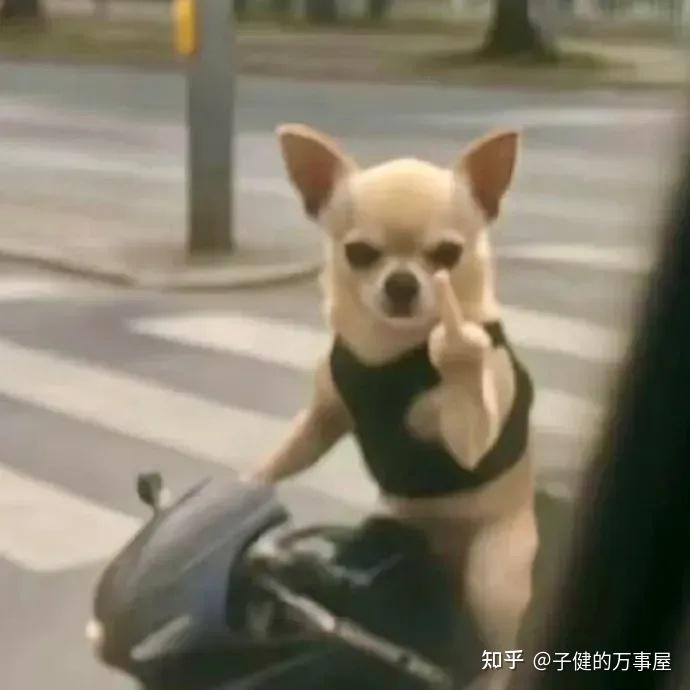 张吉惟、林国瑞、吉玟书、林雅南、江奕云，你们是连装都懒得装了 - 知乎