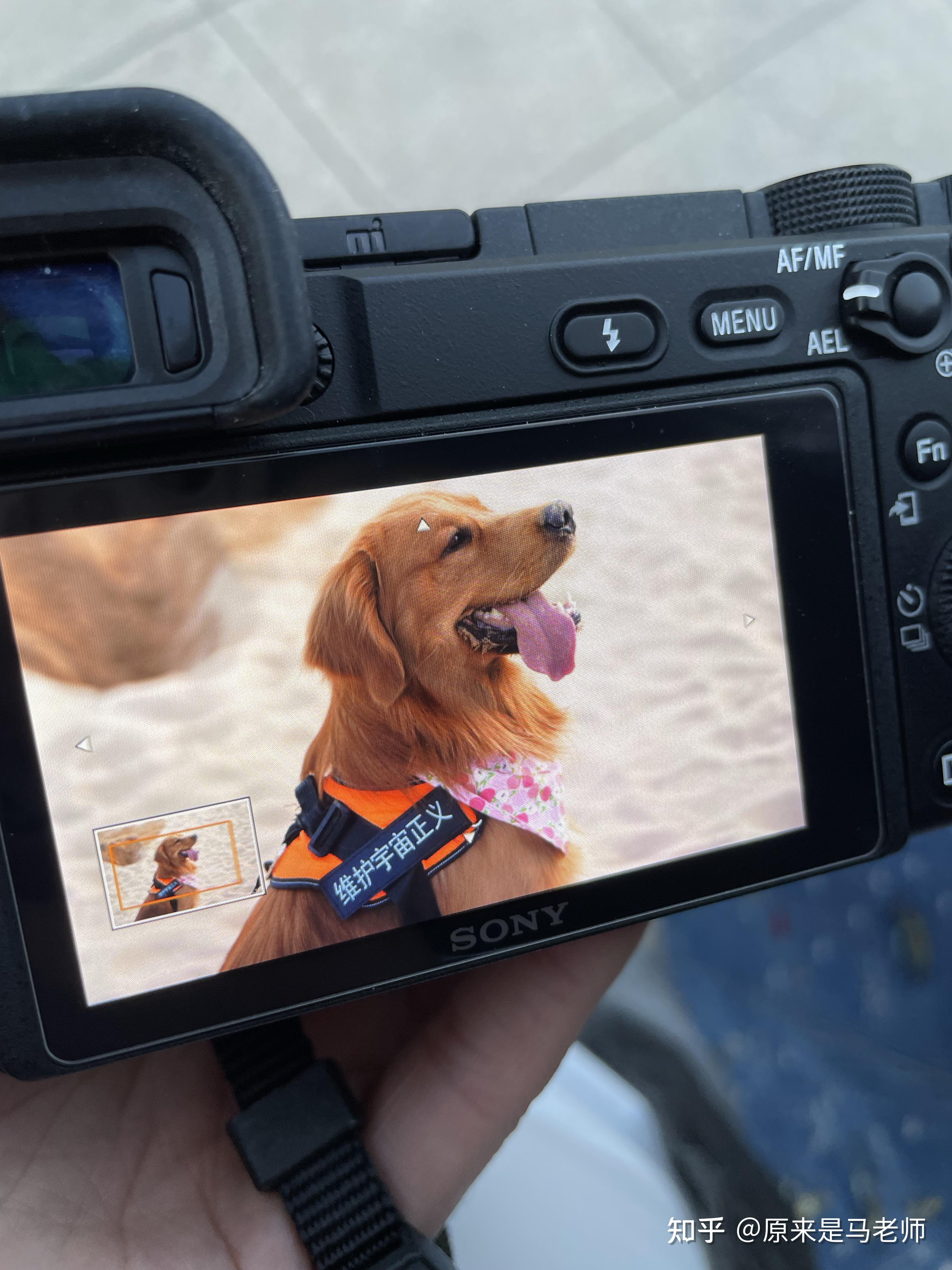 索尼a6400残幅相机适马56可以多锐