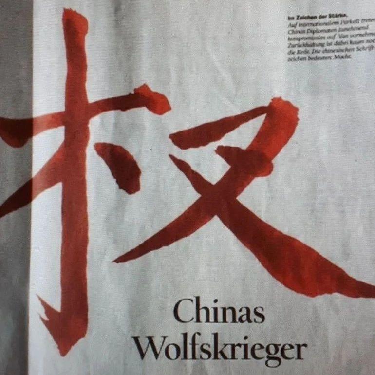 德媒报道批中国字写错了