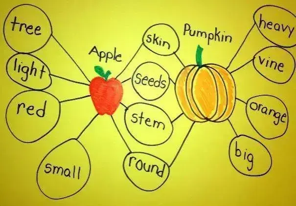 3,双气泡图(double-bubble map)