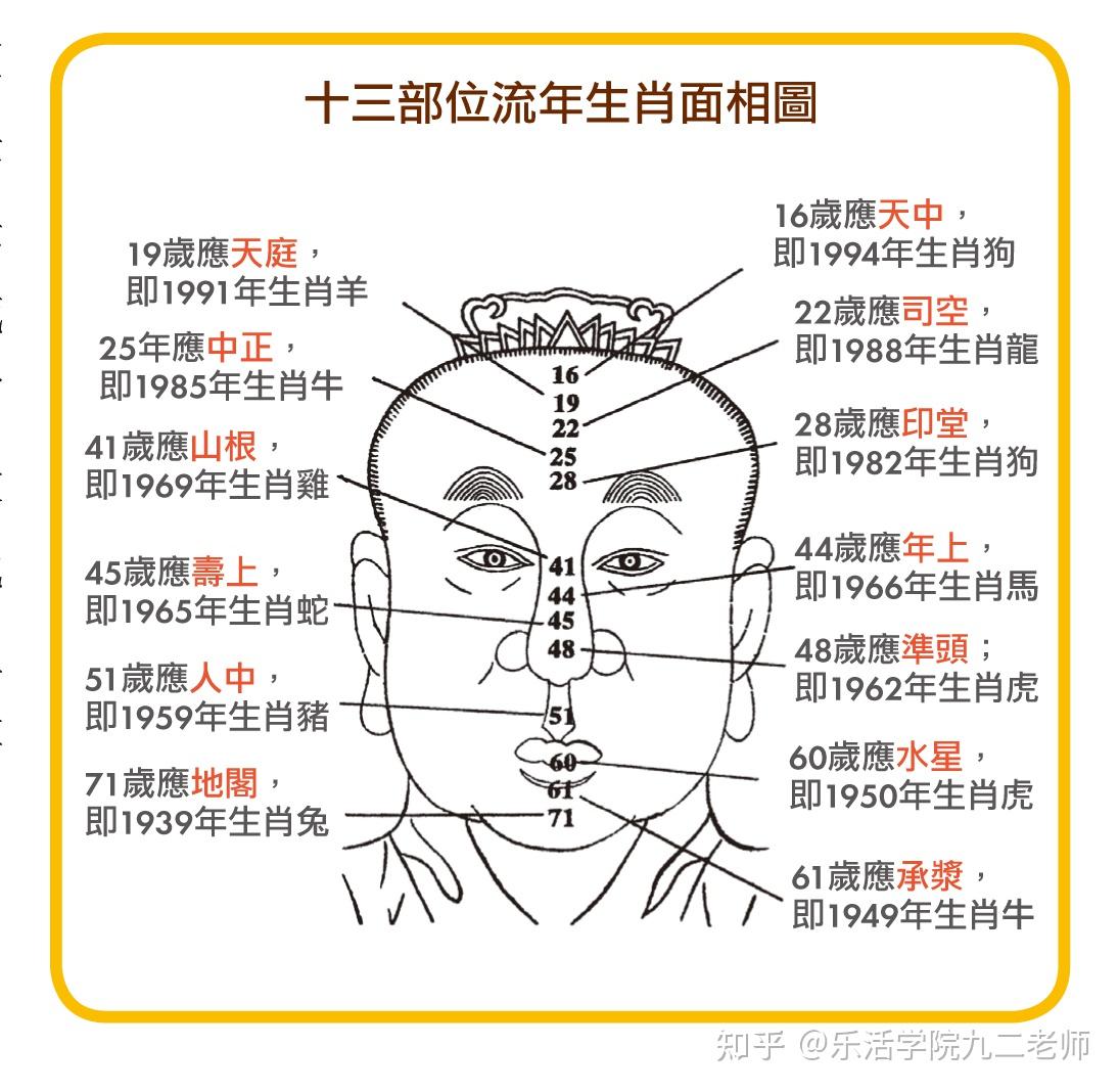 面相流年部位图清晰图片