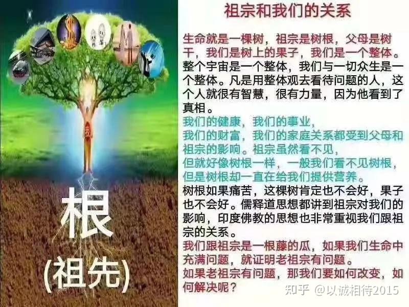 秦东魁老师推荐祭祖连根的重要意义孝亲敬祖改命运免灾祸