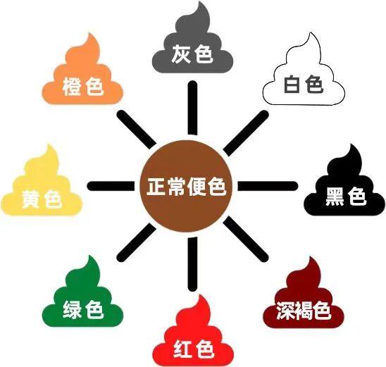 一条有味道的科普!通过便便判断狗狗健康状况~ - 知乎