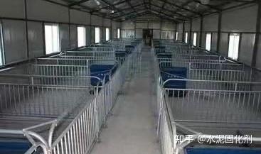 【养猪场猪场建设中的猪栏设计】新式猪栏设计有哪些优点和不足？ - 知乎