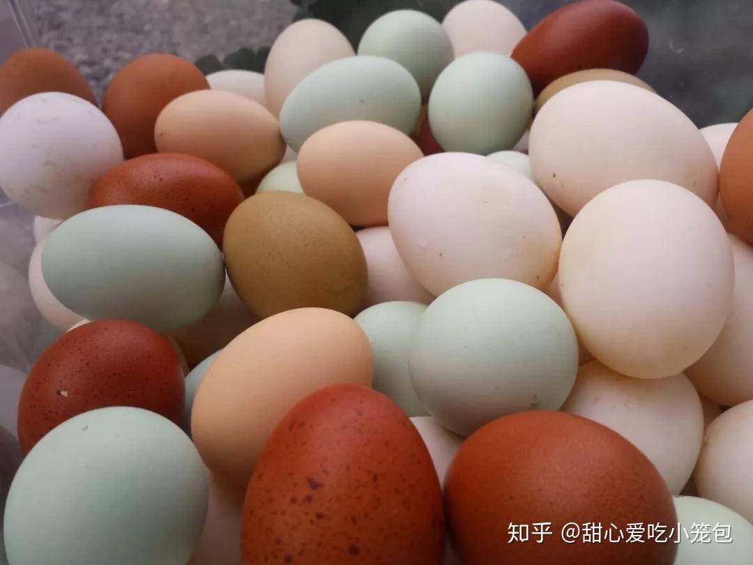 鸡蛋摄影图__食物原料_餐饮美食_摄影图库_昵图网nipic.com