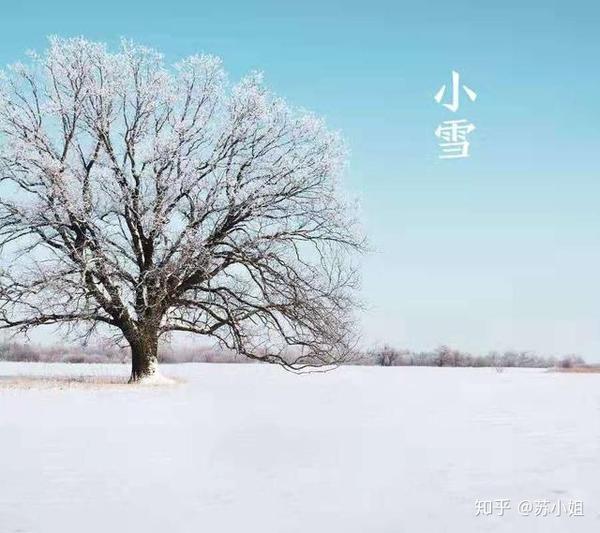 小雪 素心向暖 浅笑安然 知乎