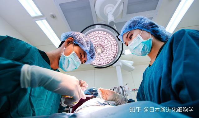 v2-5ec28a8798d2fea36262502a09c1cd53_r.jpg