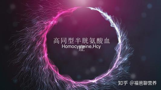 为什么同型半胱氨酸会升高h型高血压又是怎么回事如何应对