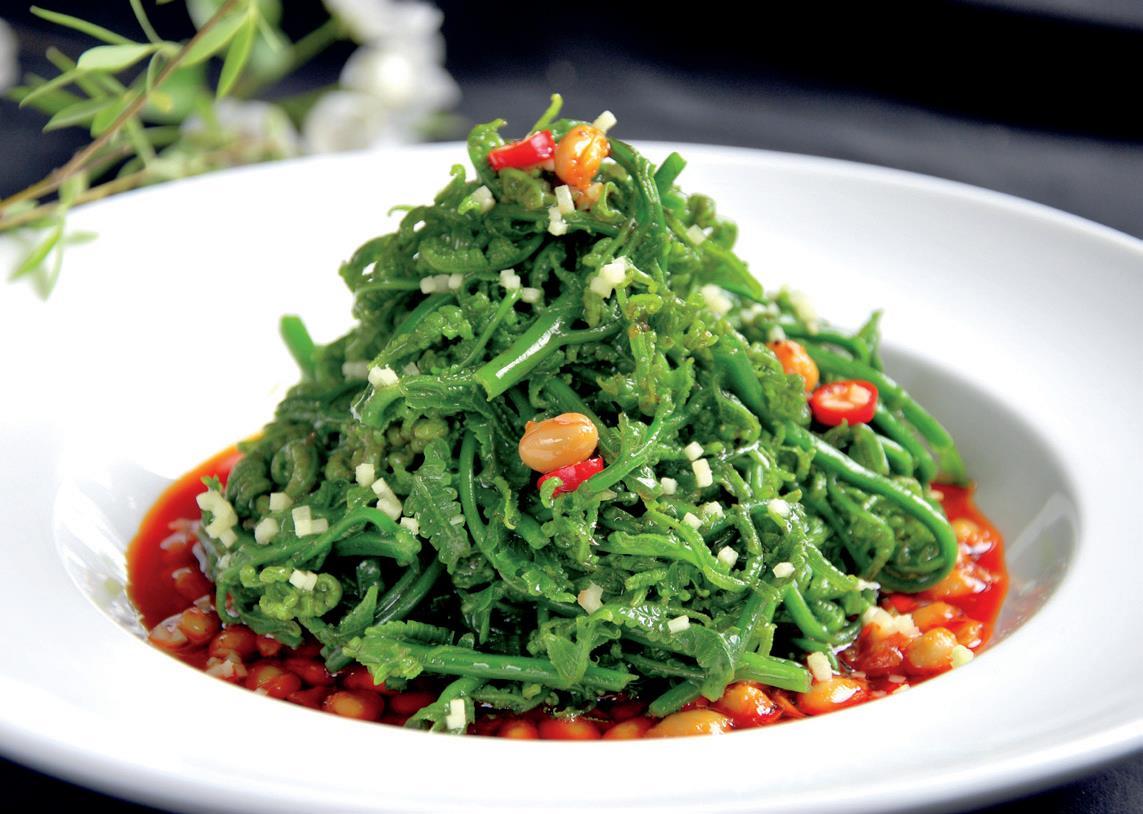 素雅凉菜(22)凉拌水蕨菜