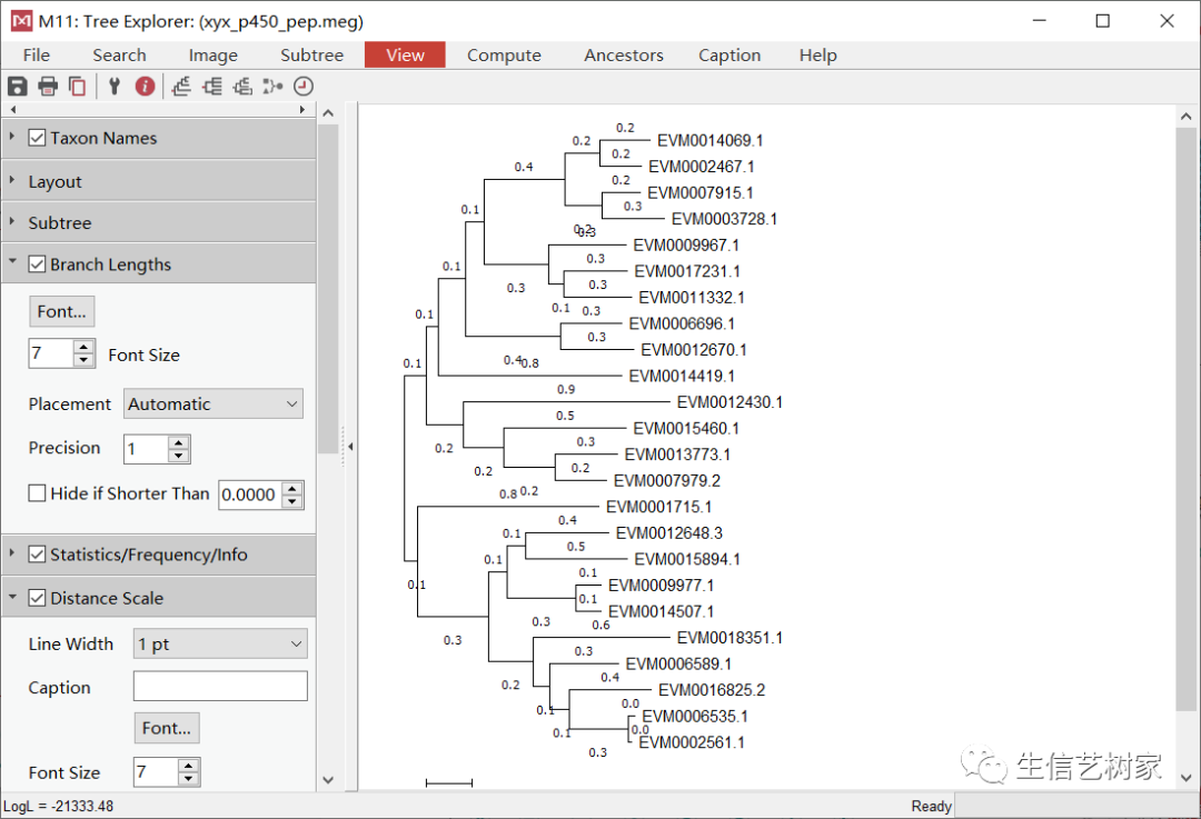 TBtools | 基因家族分析 (进化树、Motifs、结构域) - 知乎