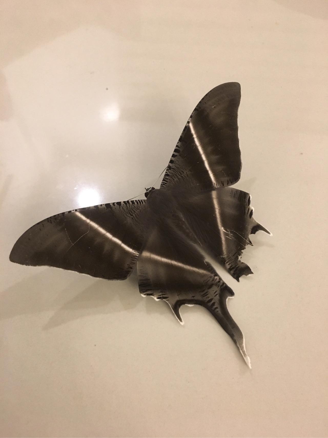 个人税后月薪一万在上海是什么样的体验?