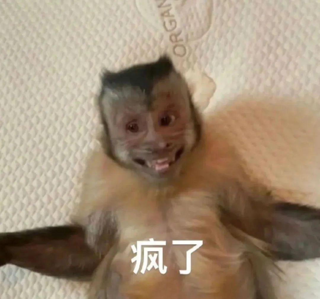 吗喽表情包来啦… - 知乎