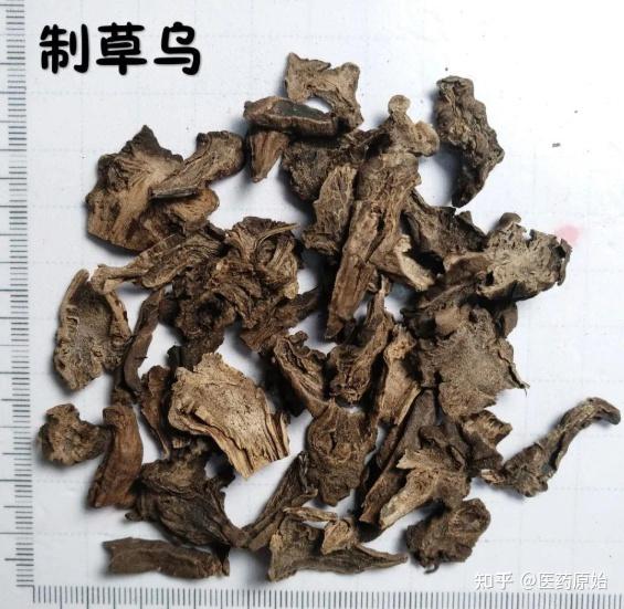 带你识别草乌 - 知乎