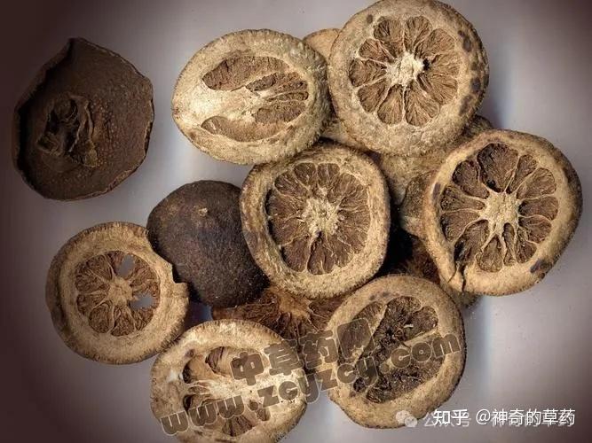 中药材:枳实 - 知乎