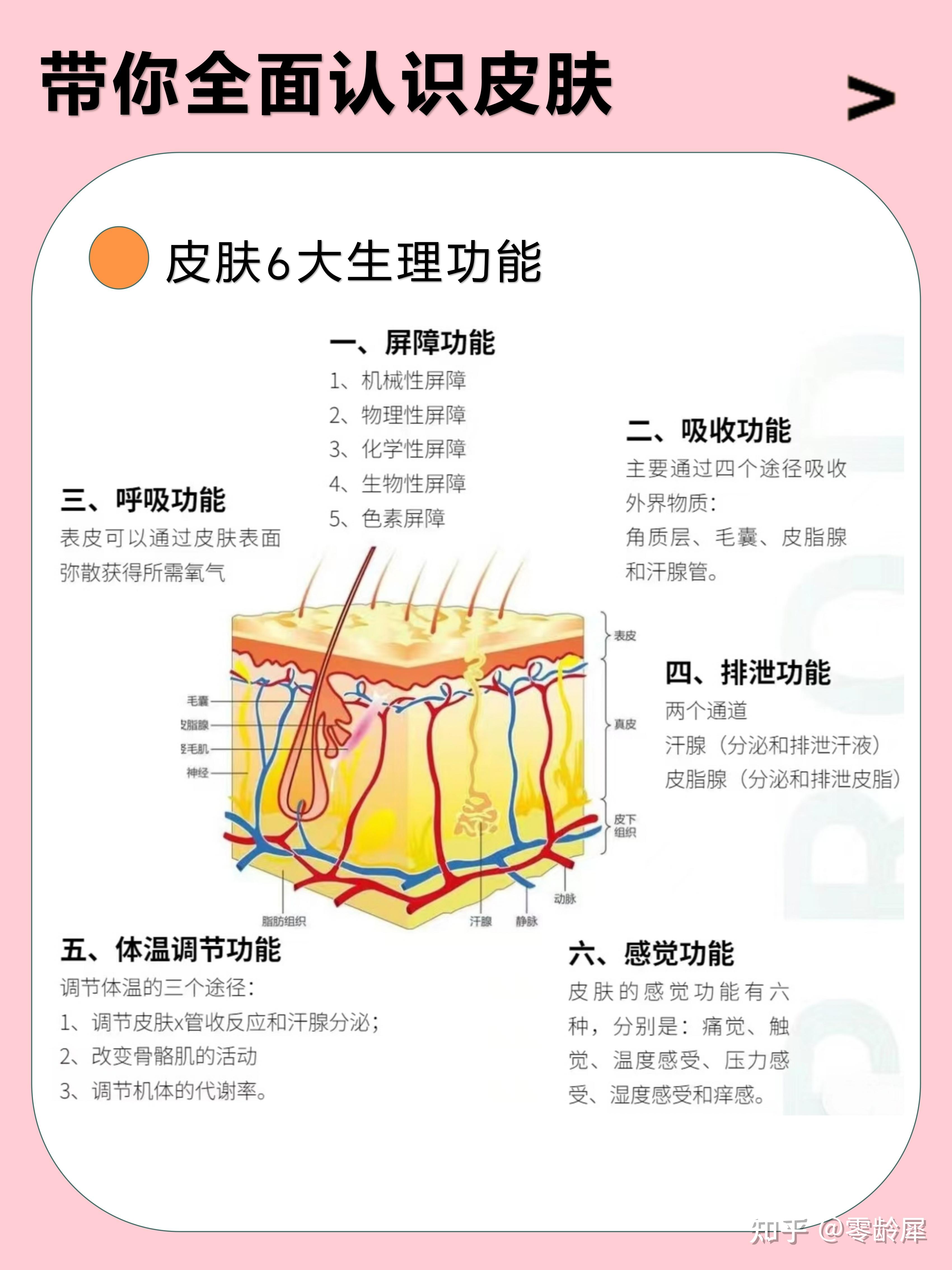 你,真的了解你的皮肤吗?