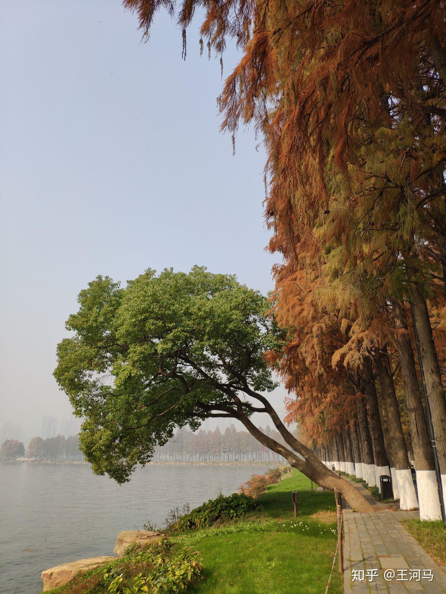 武汉有哪些旅游景点值得你去?