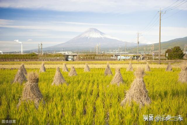 日本农业人口_中国美国等七国农业就业人口占总就业人数比例 中国 美国 日本(2)