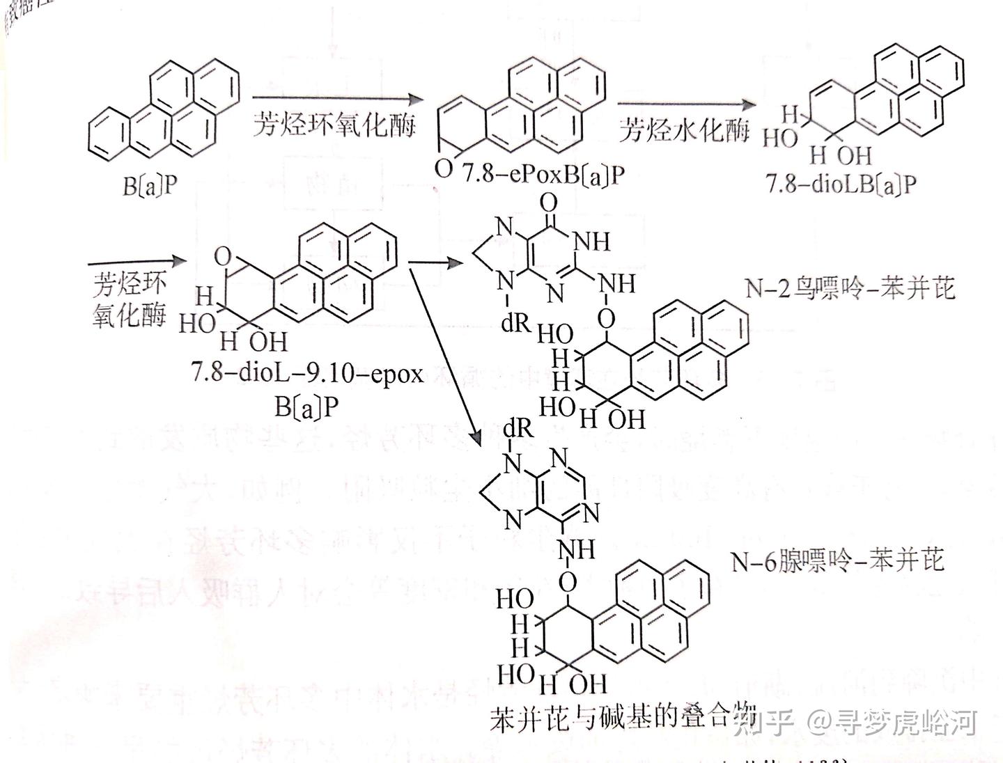 你身边的致癌物——多环芳烃 - 知乎