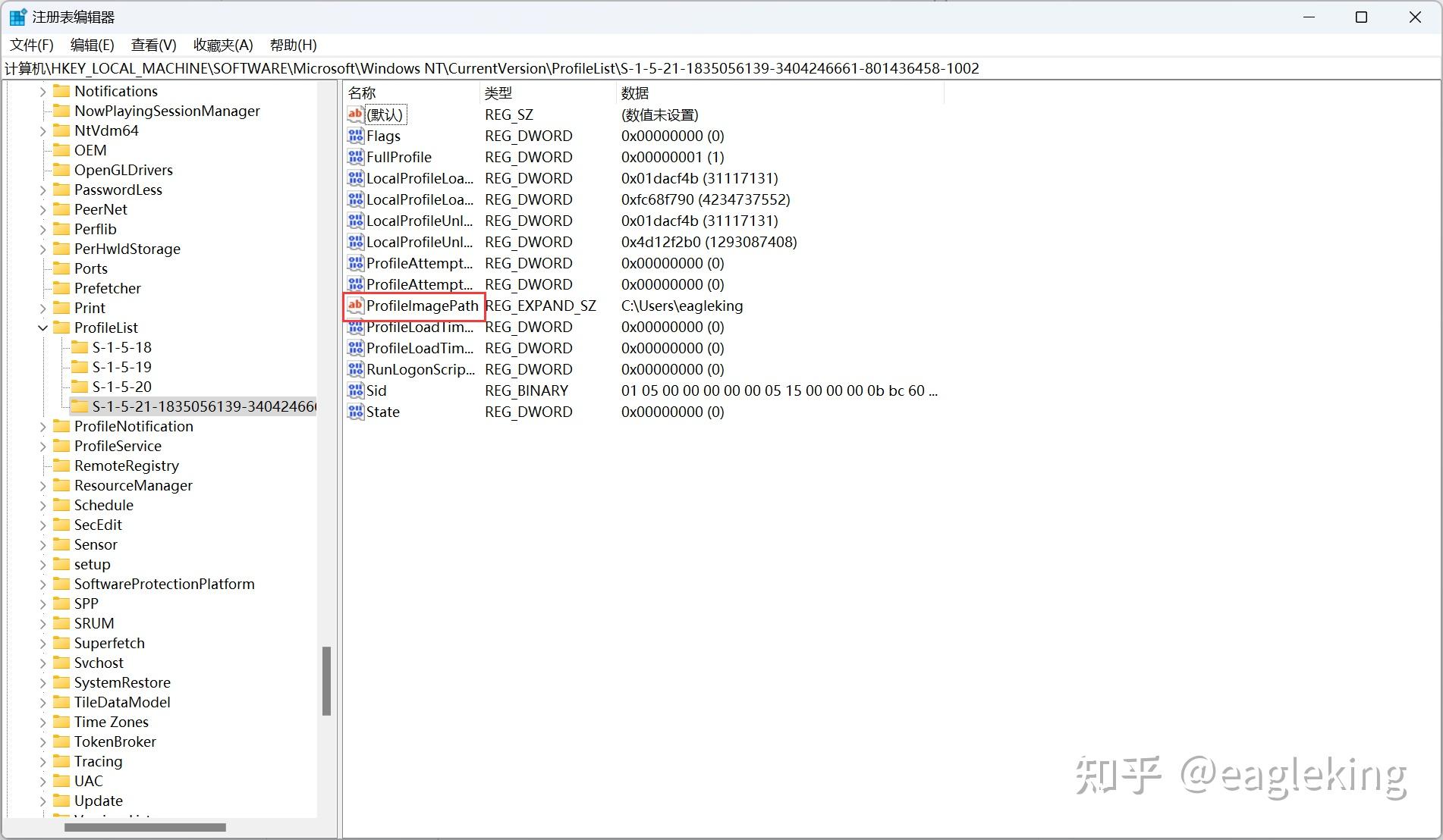 Windows 10 11 