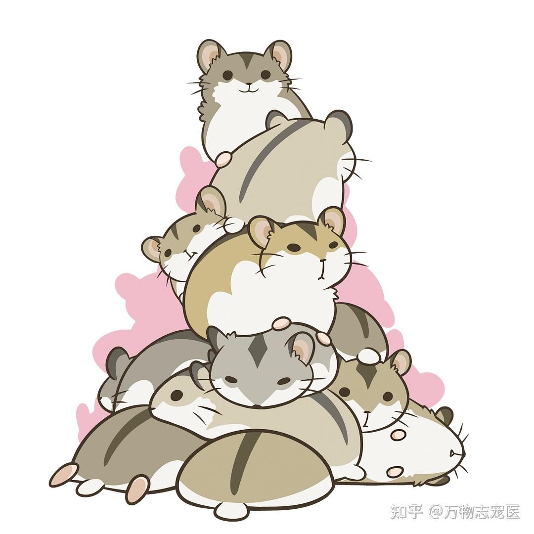 可爱的仓鼠吃葵花籽卡通插画图片素材_ID:425560010-Veer图库