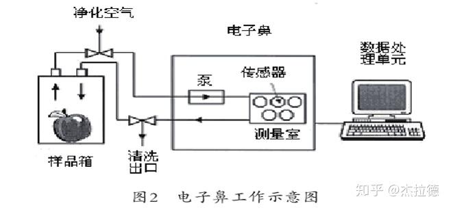 森林吸收粉尘的原理是什么_石棉粉尘是什么样子的(3)