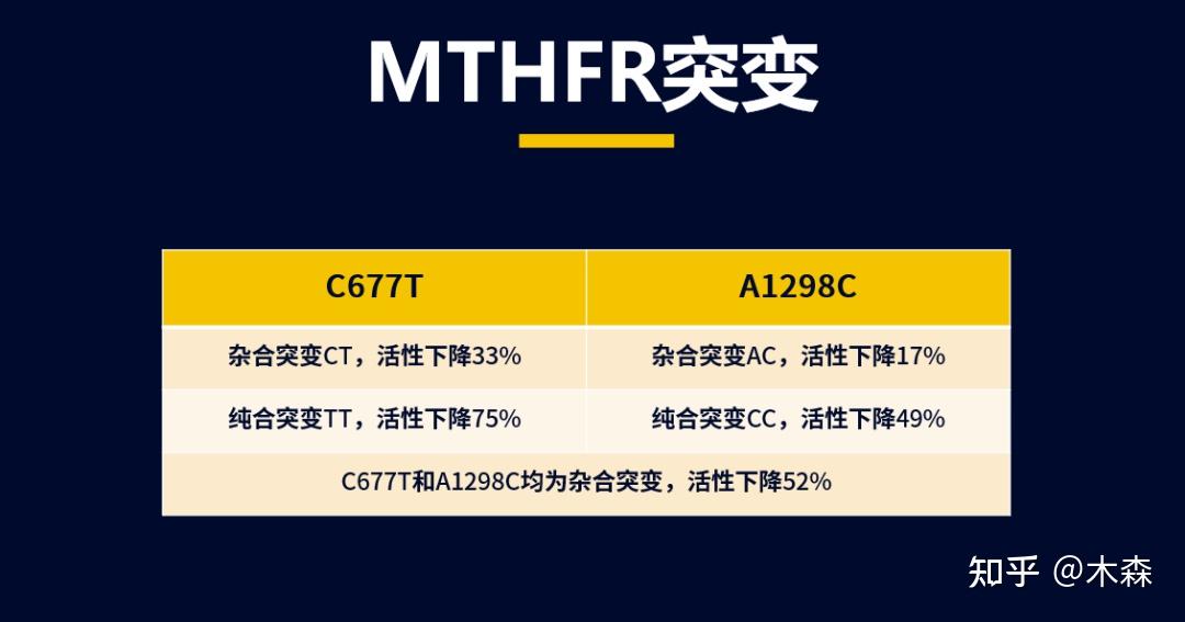 mthfr基因677位置(rs1801133)上的c->t的突變是最為關鍵的.