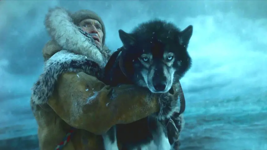 背包客与同伴走散在绝境下艰难生存19天根据真实故事改编