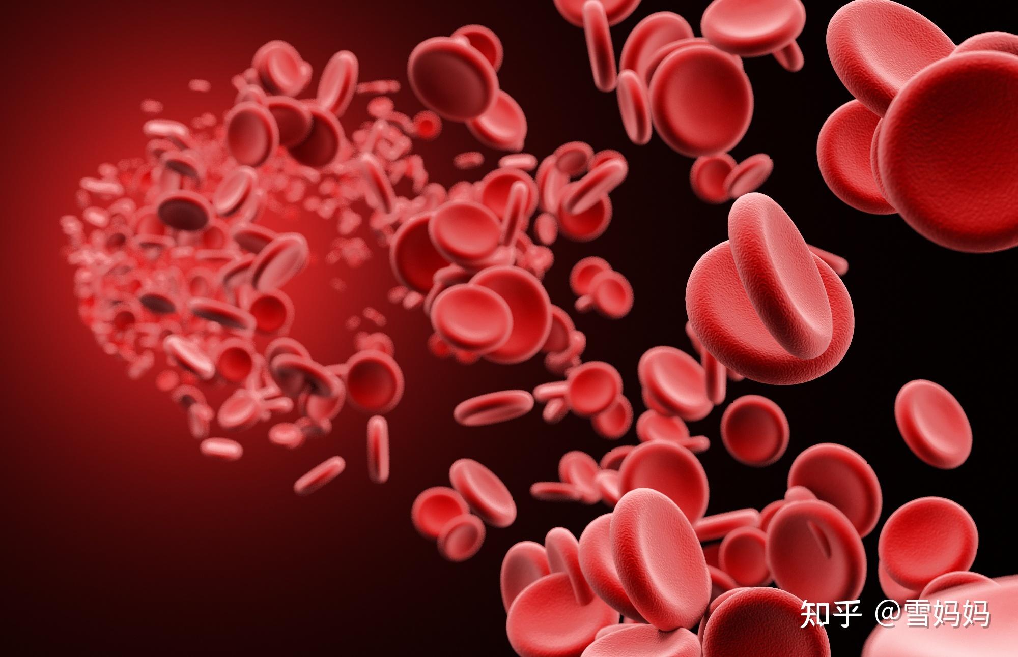 血透科科普——新入血液透析患者，应进行哪些传染病检查和预防？