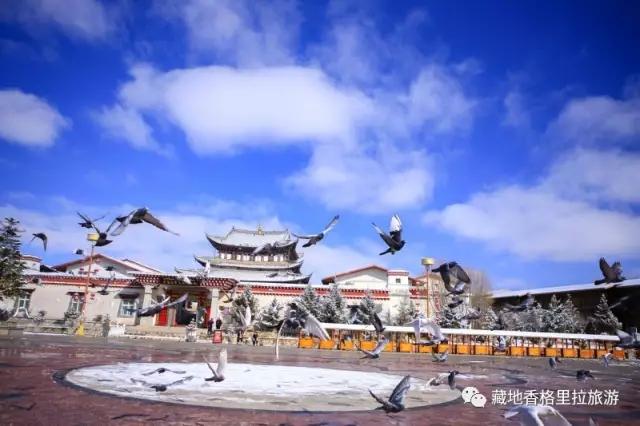 香格里拉10大必游景点“老司机”都去过,你走过几个?-香格里拉必看景点