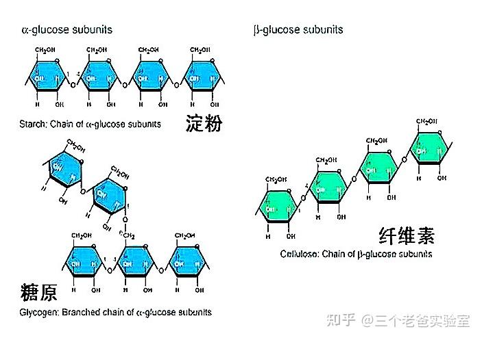 進化之路1為什麼我們叫碳基生命因為一切生命物質都是基於碳元素搭建