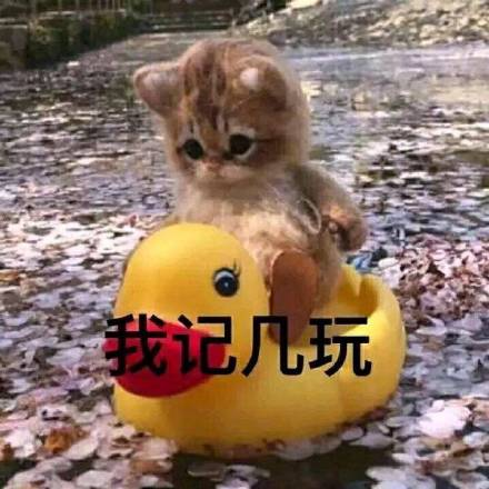 护肤保养 图片_护肤保养说说_保养护肤水果