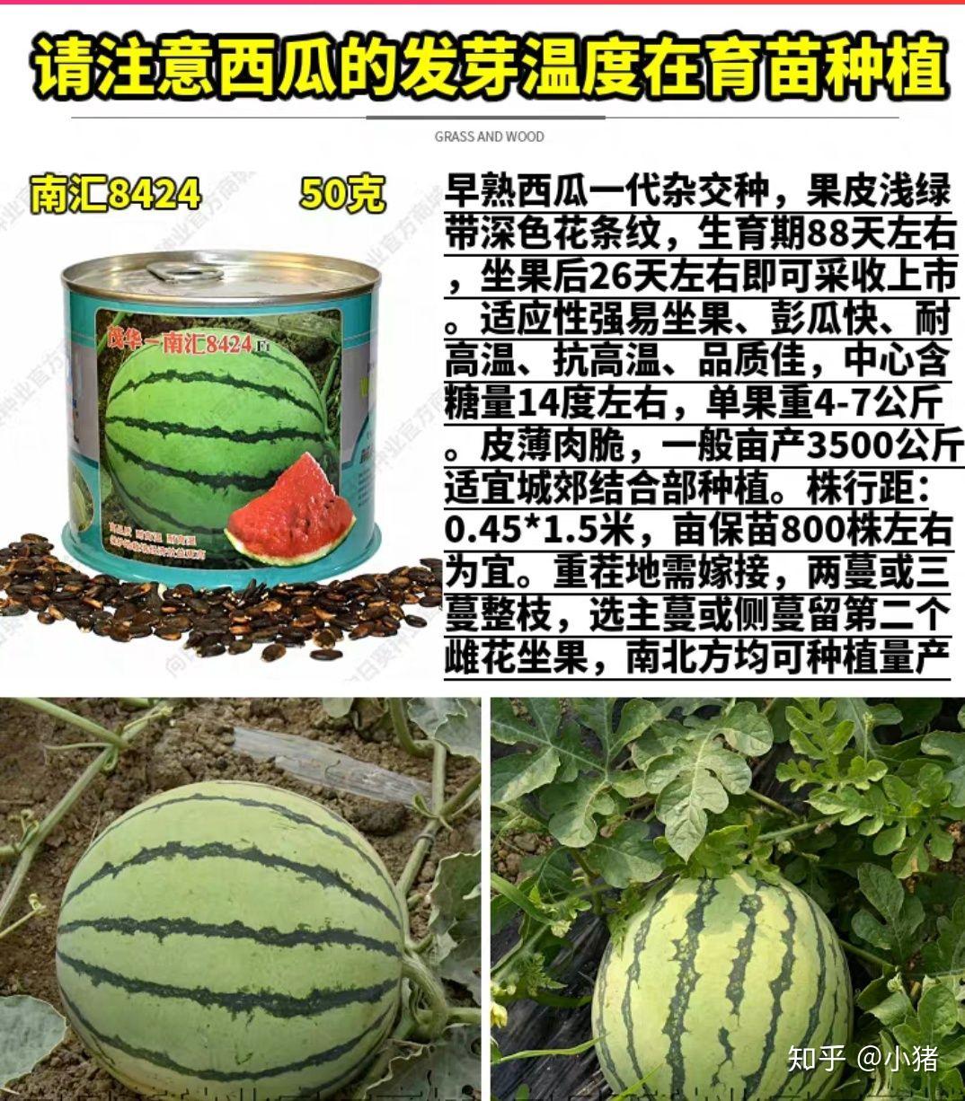 v2-5f9d9cc283893b6776d50eb828d2da73_r.jpg