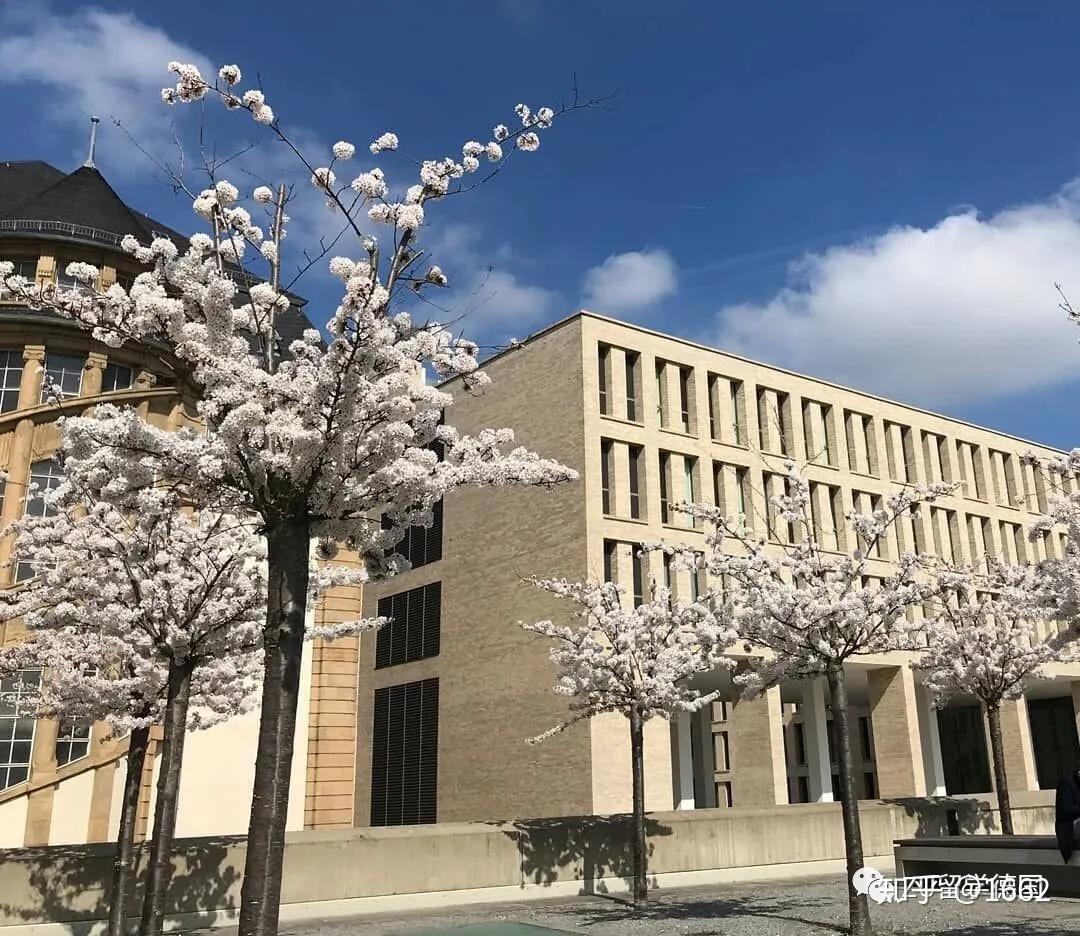 学校全称:达姆施塔特工业大学(technische universit01t darmstadt)